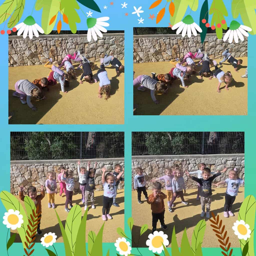 photocollage_202641012348498