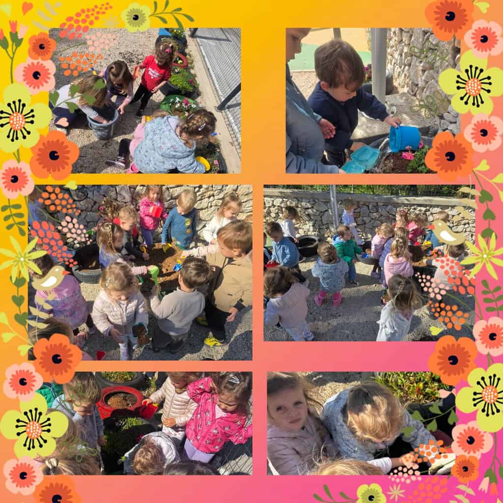 photocollage_202642312400367