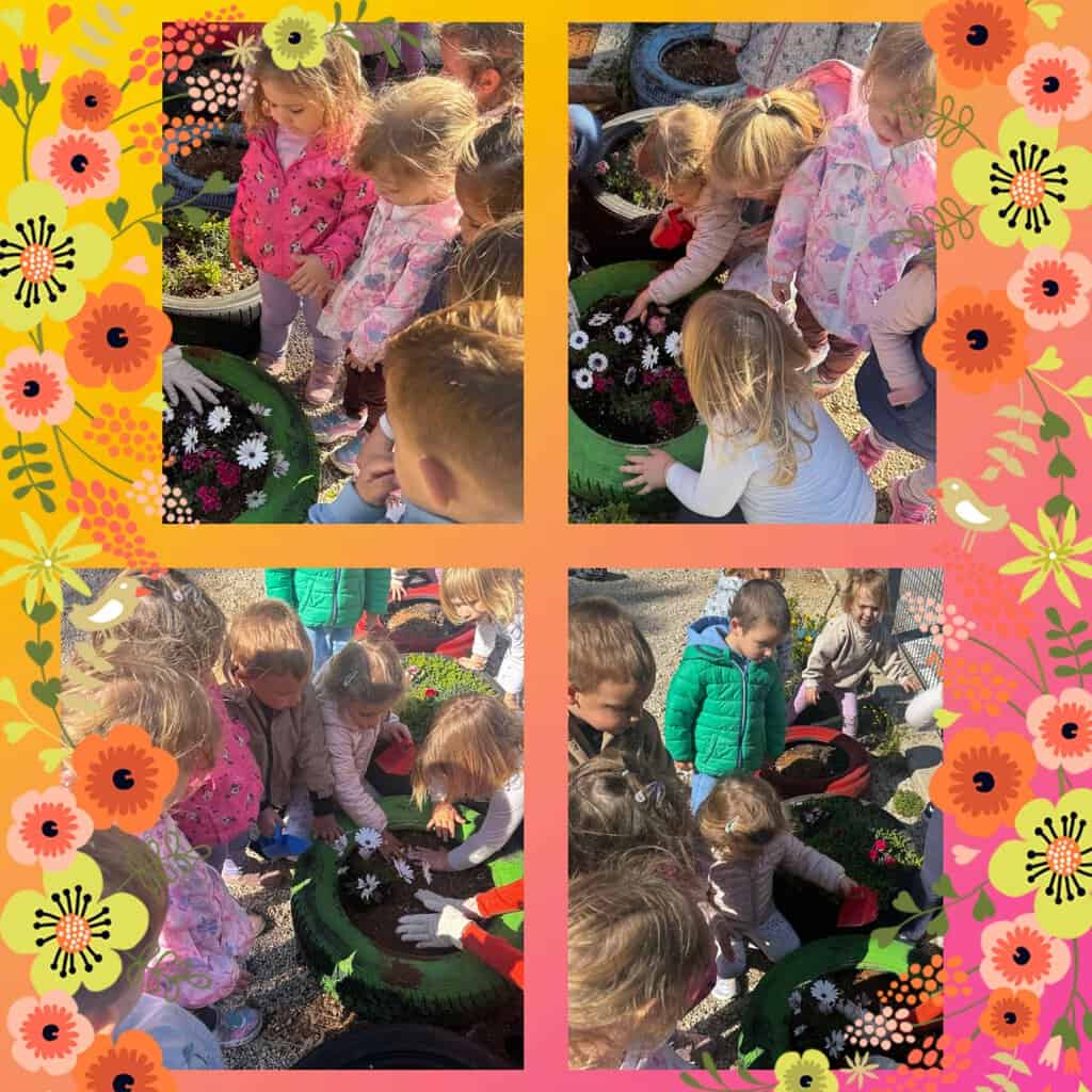 photocollage_2026423124217498